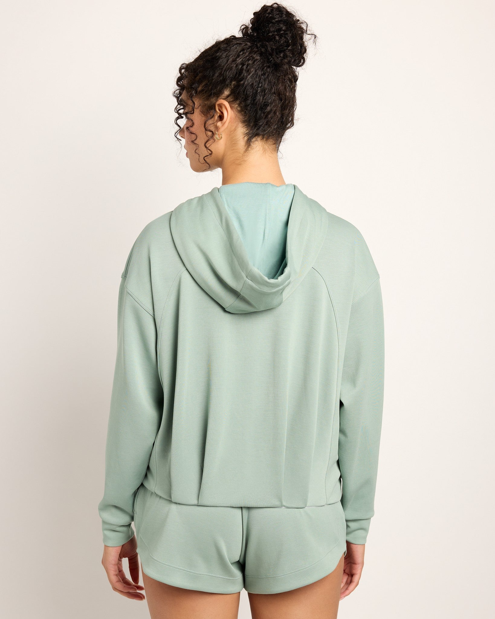 Sage $|& Interval Double Knit Sojourn Hoodie - SOF Back