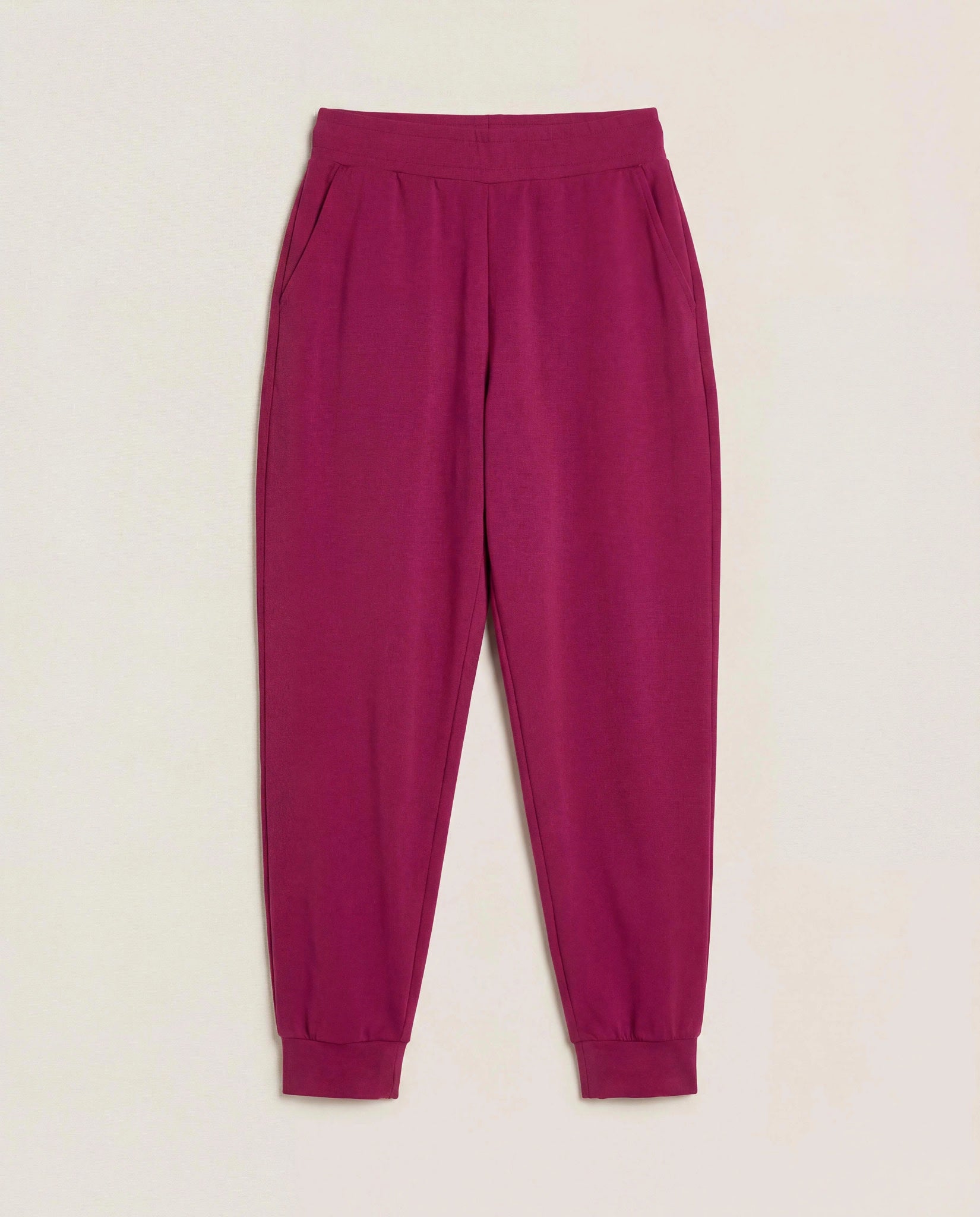 Sangria $|& Interval CloudLight Revive Jogger - Hanger Detail