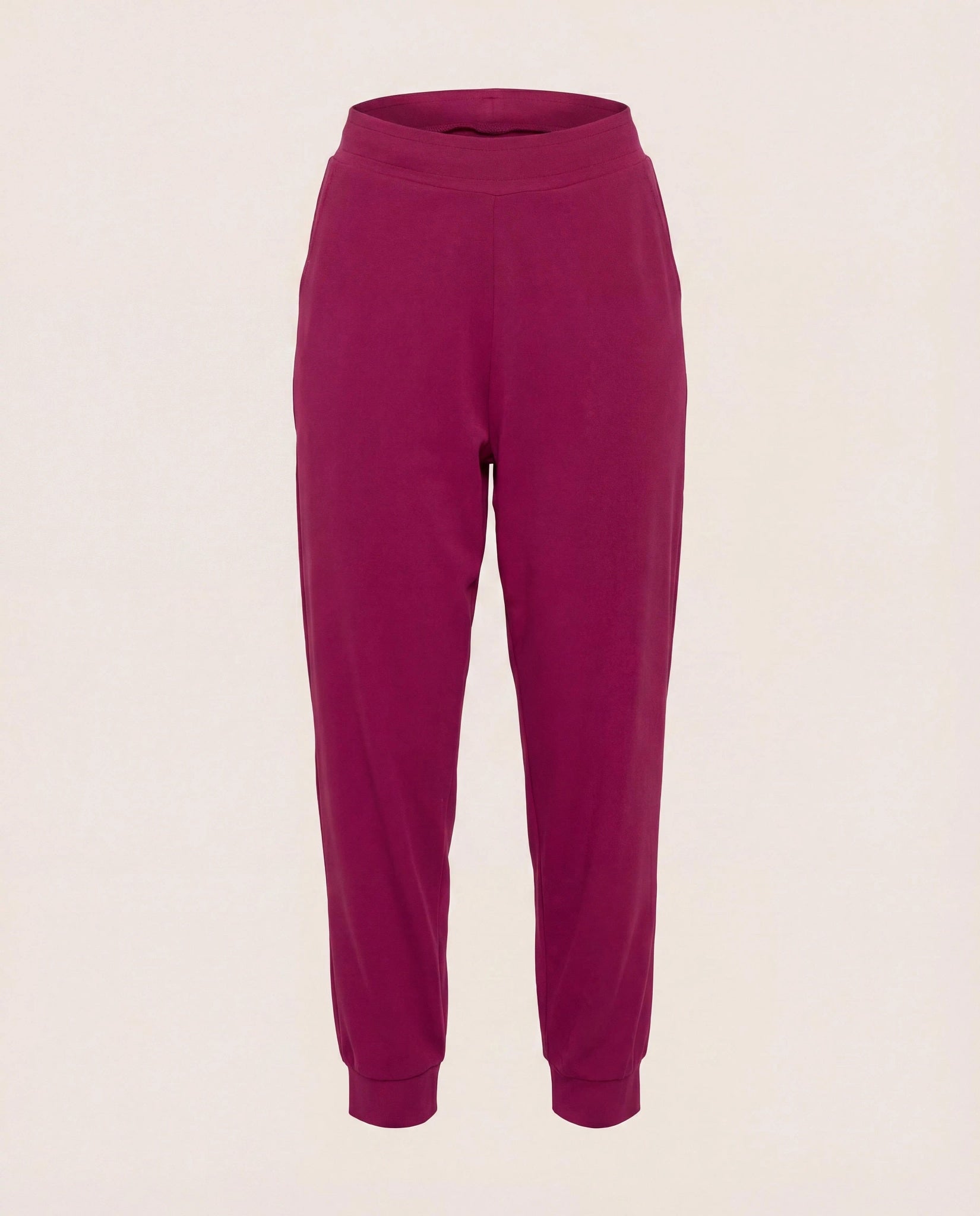 Sangria $|& Interval CloudLight Revive Jogger - Hanger Detail