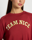 Rosewood $|& Interval Flex Fleece Graphic Pullover Team Nice - SOF Full Front