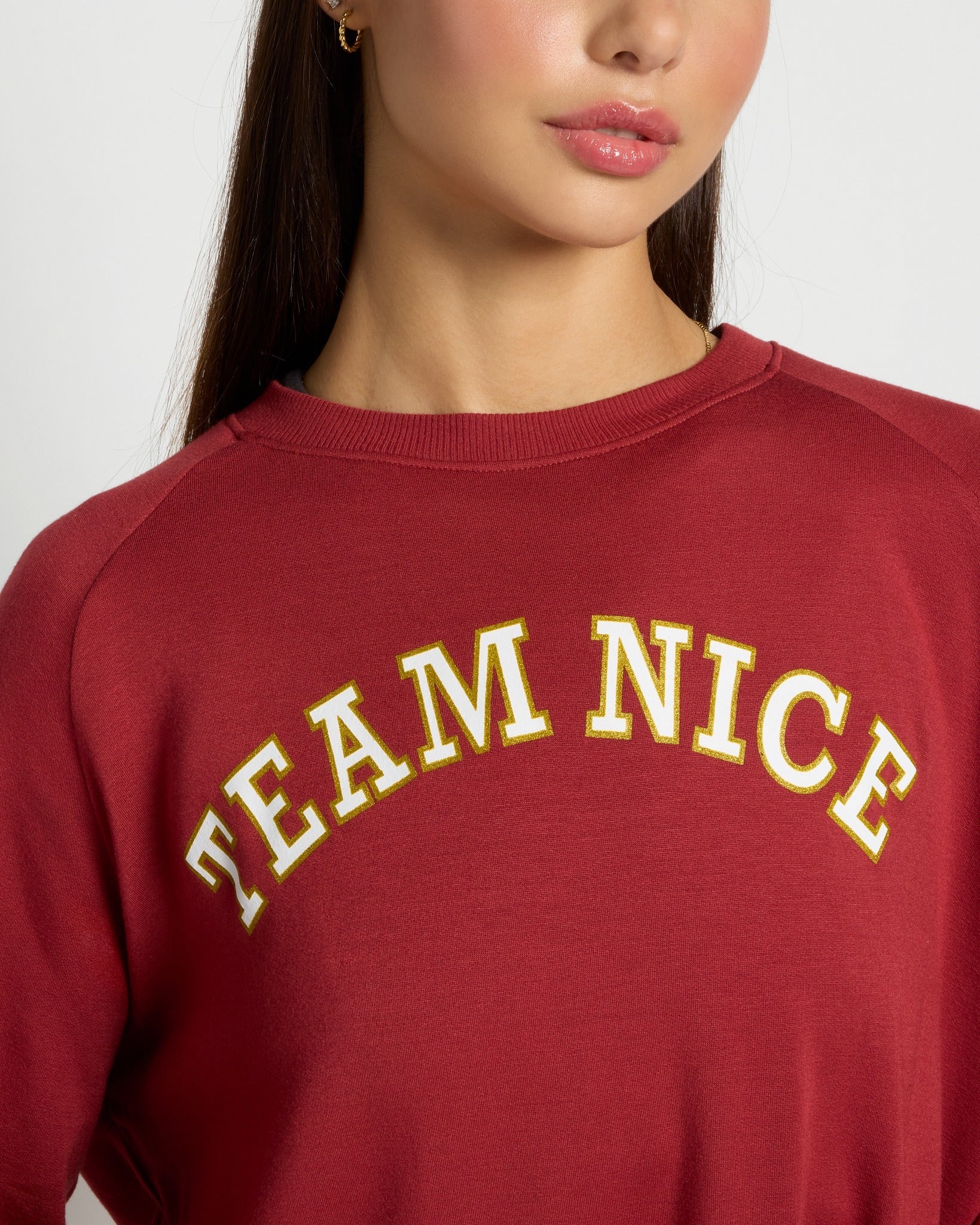 Rosewood $|& Interval Flex Fleece Graphic Pullover Team Nice - SOF Full Front